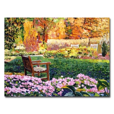 David Lloyd Glover 'Secret Garden Chair' Canvas Art,26x32